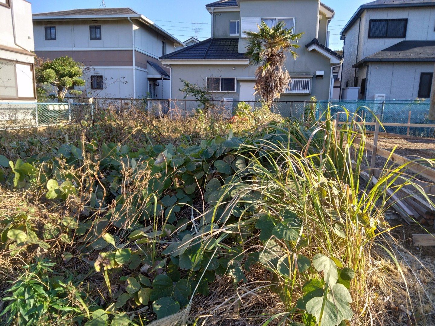 空き家庭放置状態